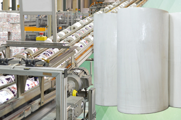 Bathroom Tissue Big